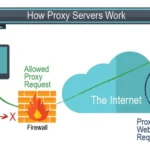 How CELPIP Proxy Test-Taking Can Put Your Test Results at Risk